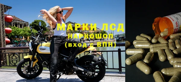 стафф Приозерск