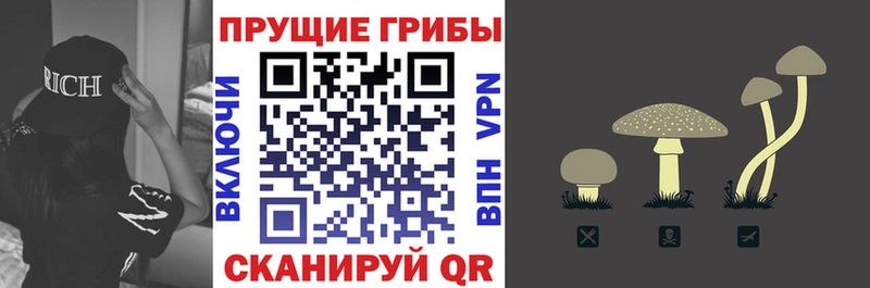 Псилоцибиновые грибы Psilocybe  Купить  Балаково 